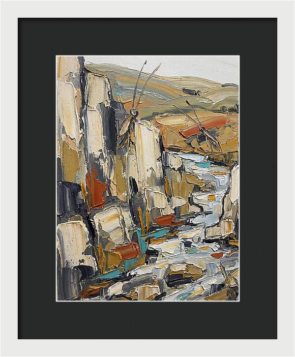Crickets Among Rocky Terrain