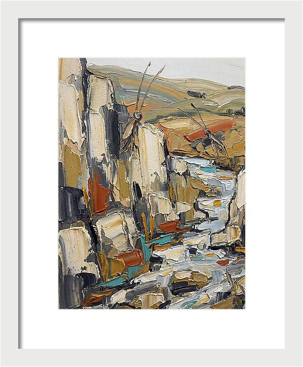 Crickets Among Rocky Terrain