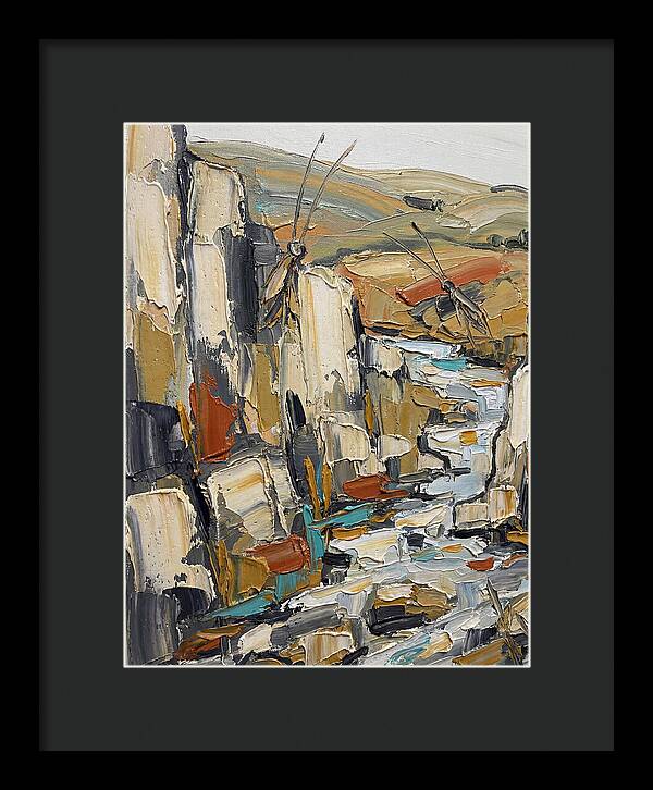Crickets Among Rocky Terrain