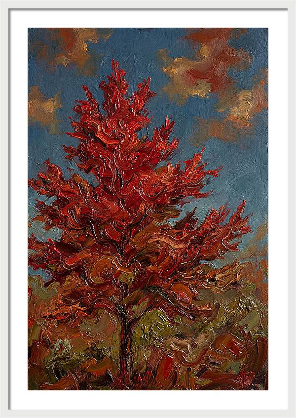 Crimson Maple Tree Ablaze