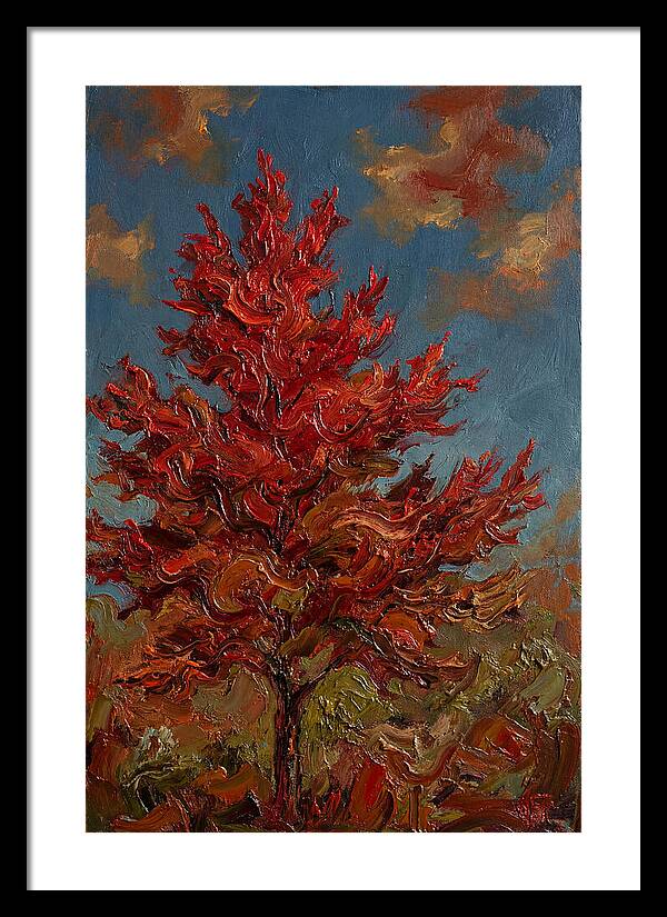 Crimson Maple Tree Ablaze