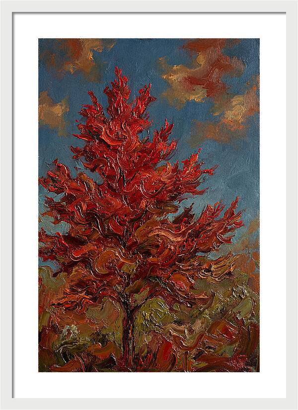 Crimson Maple Tree Ablaze
