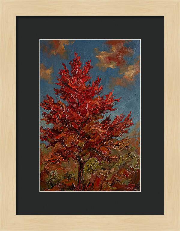 Crimson Maple Tree Ablaze