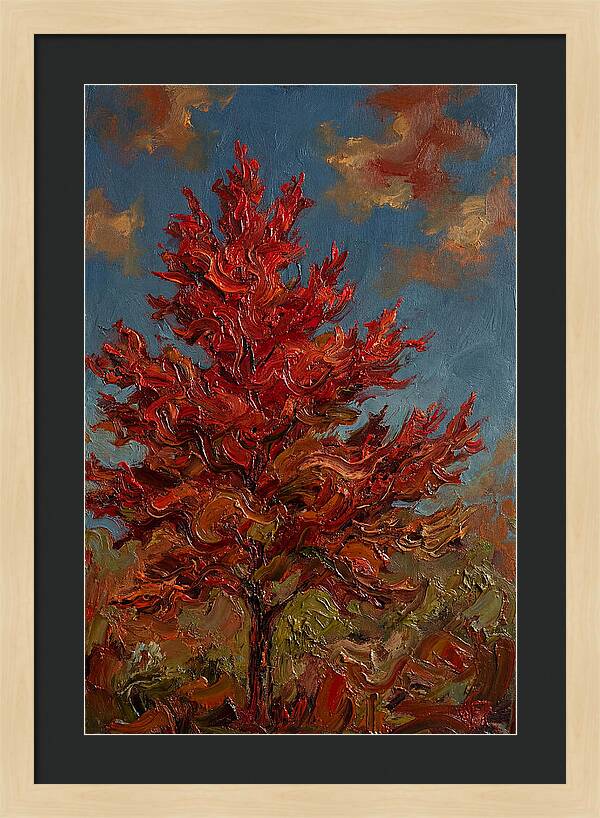Crimson Maple Tree Ablaze