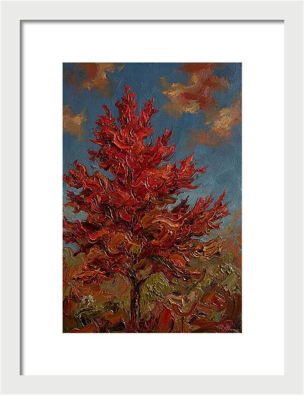 Crimson Maple Tree Ablaze
