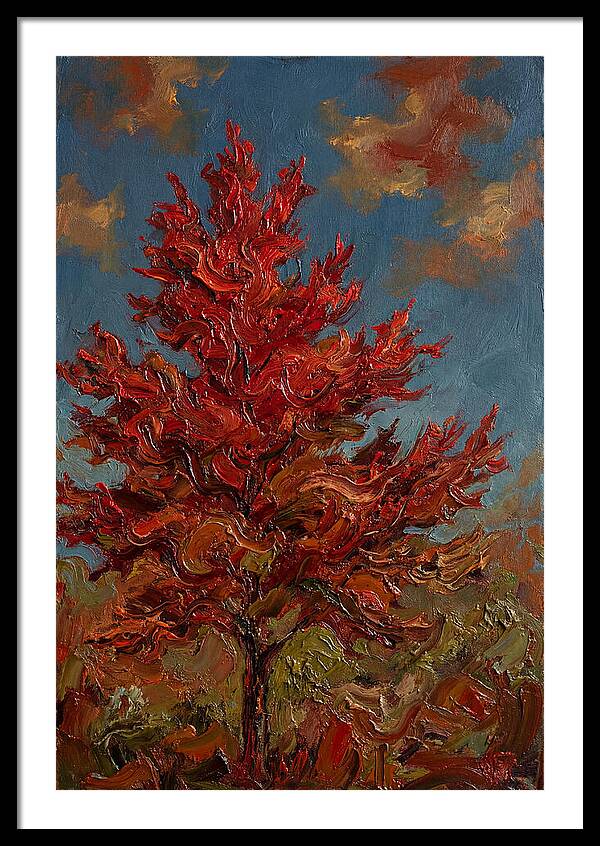Crimson Maple Tree Ablaze