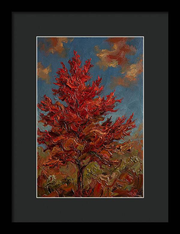 Crimson Maple Tree Ablaze