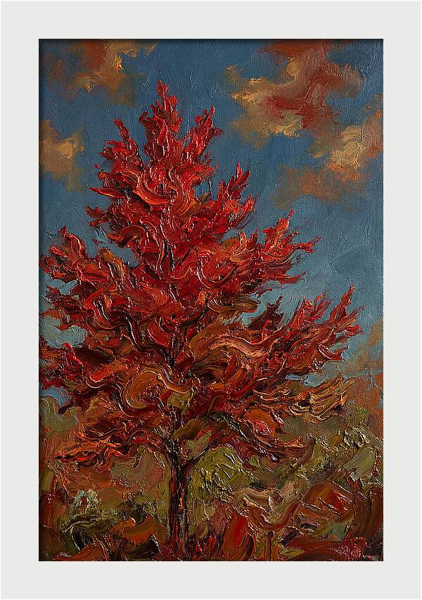 Crimson Maple Tree Ablaze
