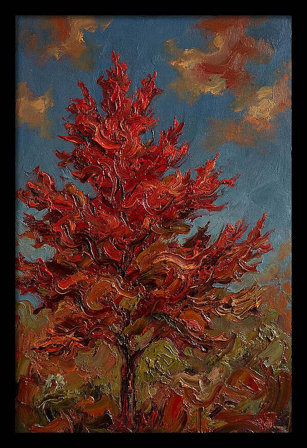 Crimson Maple Tree Ablaze
