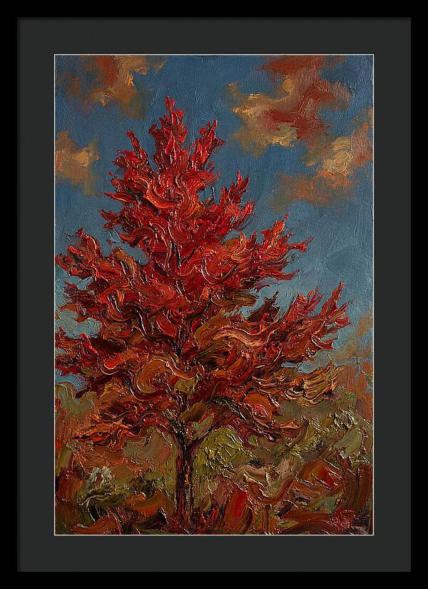 Crimson Maple Tree Ablaze