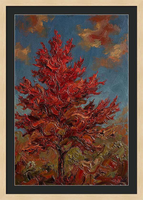 Crimson Maple Tree Ablaze