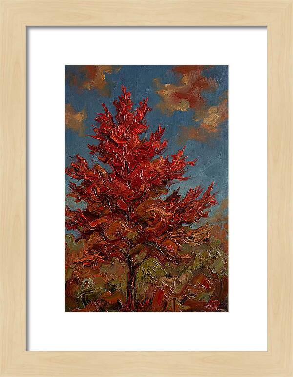 Crimson Maple Tree Ablaze