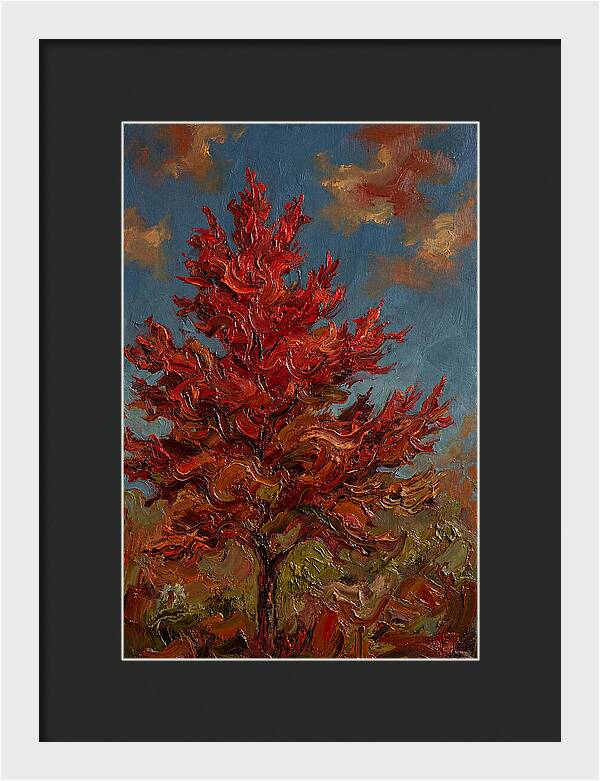 Crimson Maple Tree Ablaze