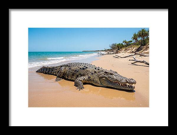 Crocodile Resting By The Shore