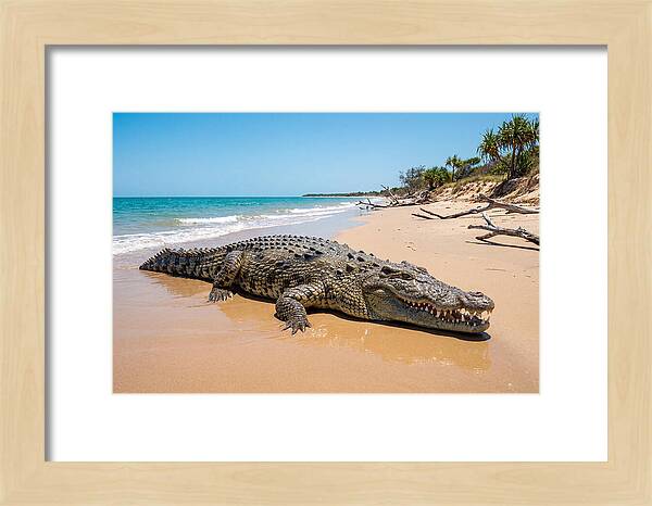 Crocodile Resting By The Shore