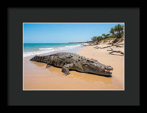 Crocodile Resting By The Shore