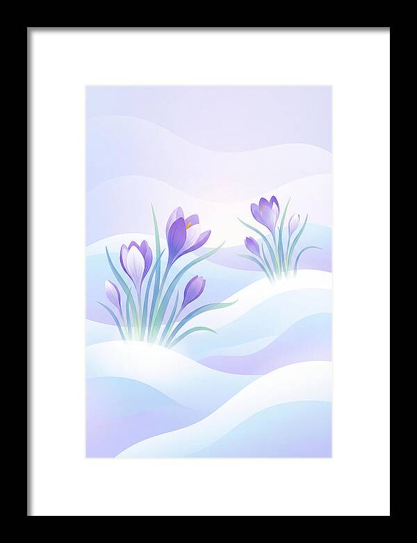 Crocus Flowers Emerging From Snow
