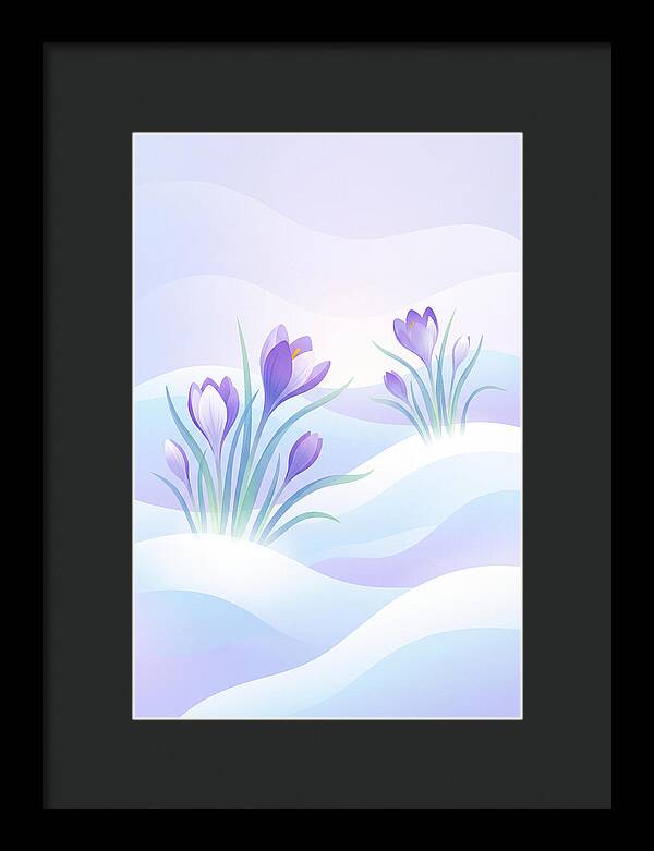 Crocus Flowers Emerging From Snow