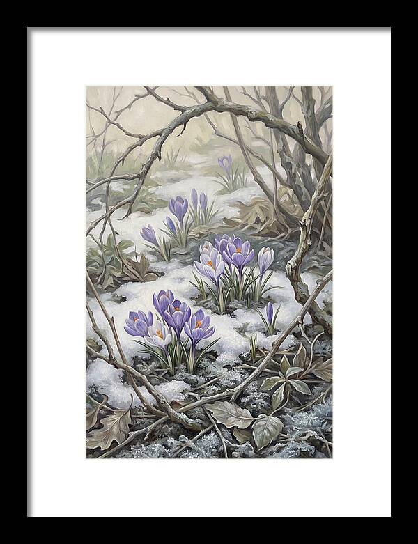 Crocuses Emerging Through Snow