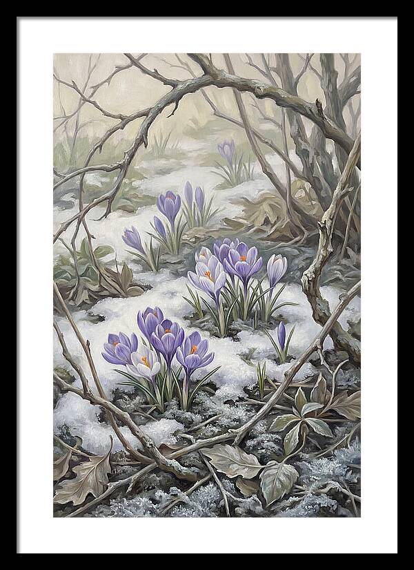 Crocuses Emerging Through Snow