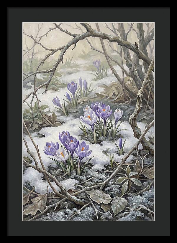 Crocuses Emerging Through Snow
