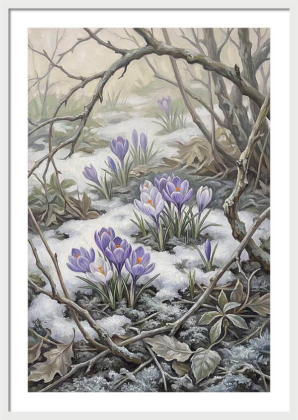 Crocuses Emerging Through Snow