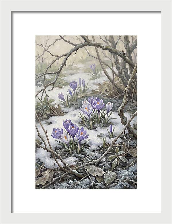 Crocuses Emerging Through Snow