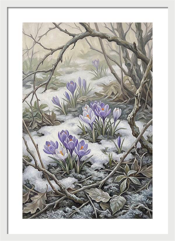 Crocuses Emerging Through Snow