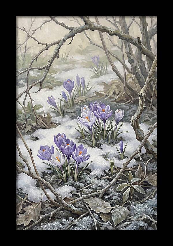 Crocuses Emerging Through Snow