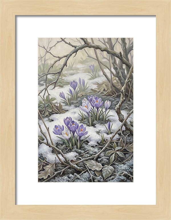 Crocuses Emerging Through Snow
