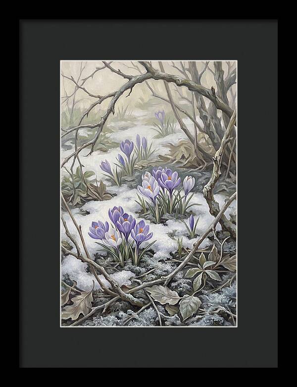Crocuses Emerging Through Snow