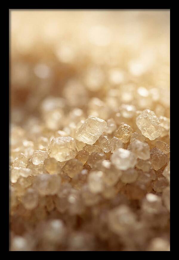 Crystallized Sugar Delight