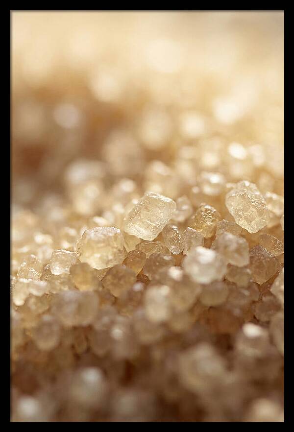 Crystallized Sugar Delight