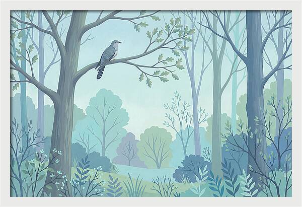 Cuckoo Calling From Treetop