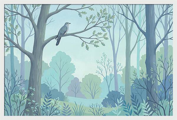 Cuckoo Calling From Treetop