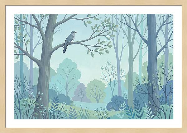 Cuckoo Calling From Treetop