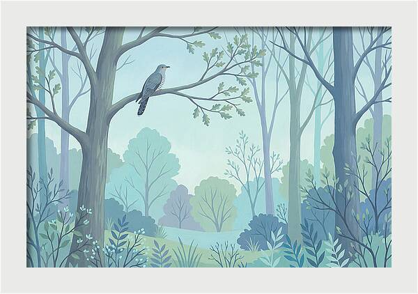 Cuckoo Calling From Treetop