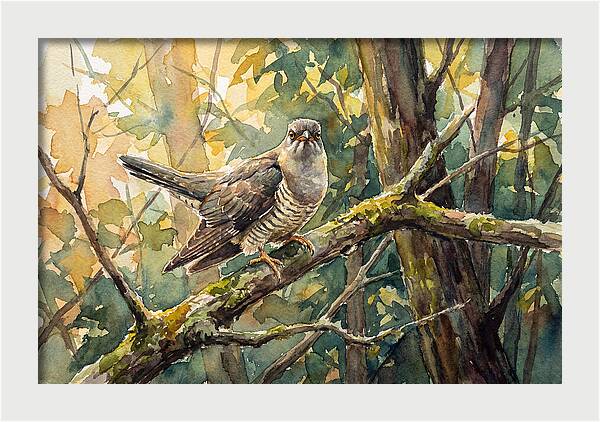 Cuckoo Perched In Nature