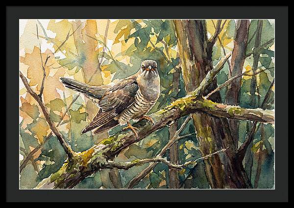 Cuckoo Perched In Nature