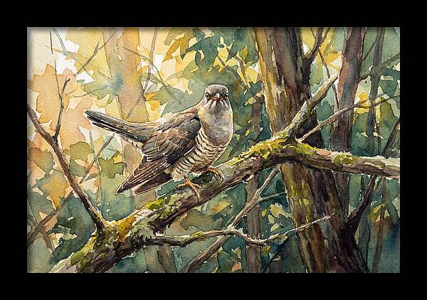 Cuckoo Perched In Nature