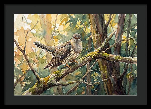 Cuckoo Perched In Nature