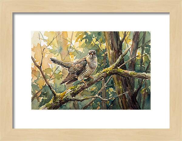 Cuckoo Perched In Nature