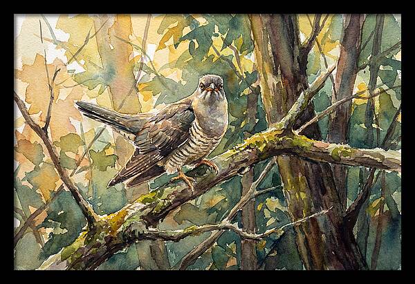 Cuckoo Perched In Nature