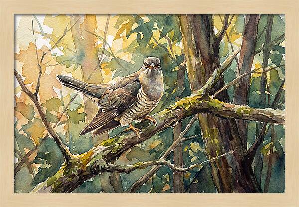 Cuckoo Perched In Nature