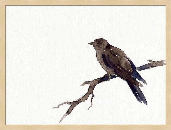 Cuckoo Resting Among Leaves