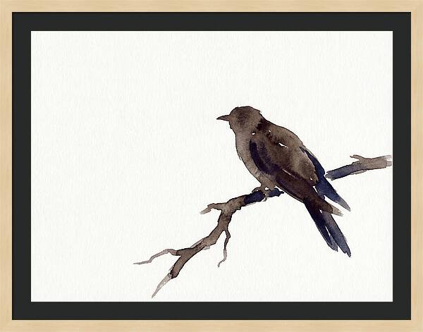 Cuckoo Resting Among Leaves