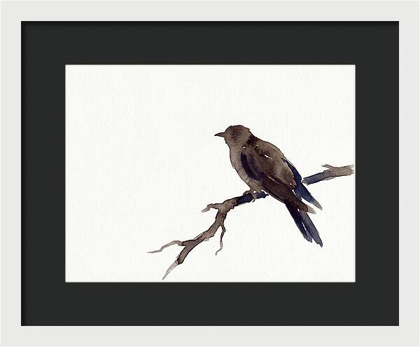 Cuckoo Resting Among Leaves