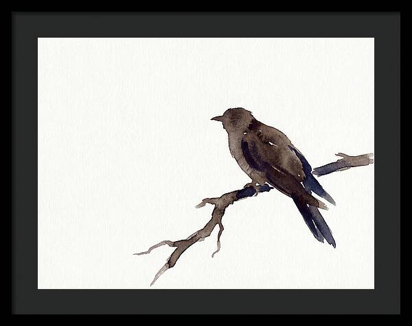 Cuckoo Resting Among Leaves