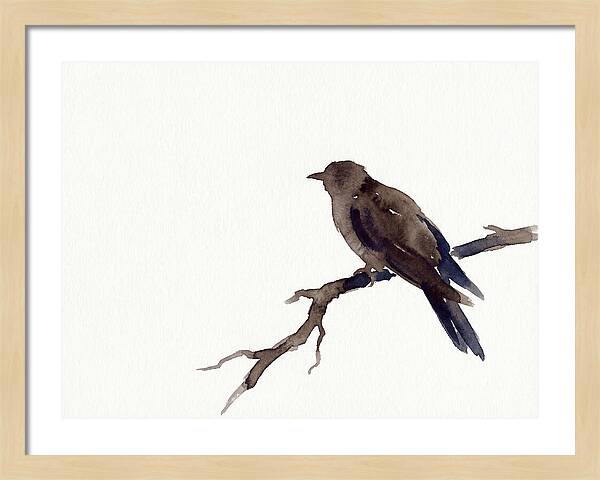 Cuckoo Resting Among Leaves