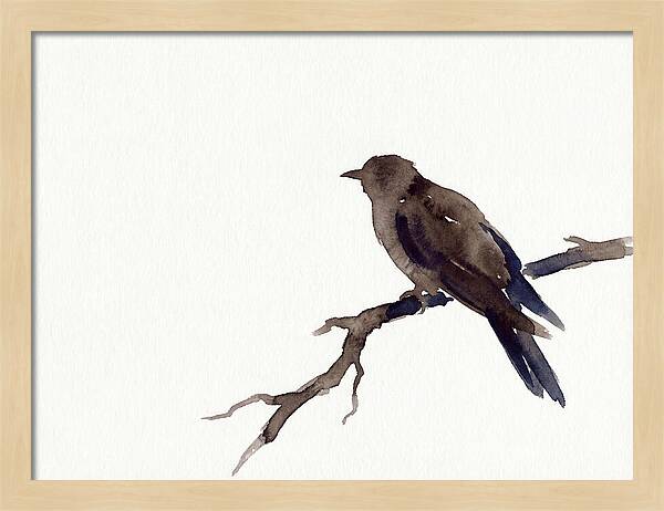 Cuckoo Resting Among Leaves